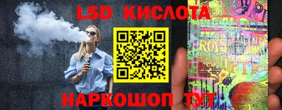 крисы Новодвинск