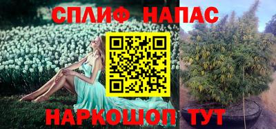 соль ск Новокубанск