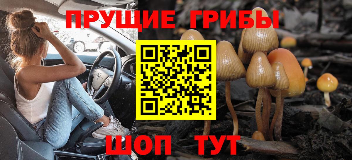 Тайшет  Псилоцибиновые грибы GOLDEN TEACHER  Псилоцибиновые грибы мухоморы  Вход с VPN 