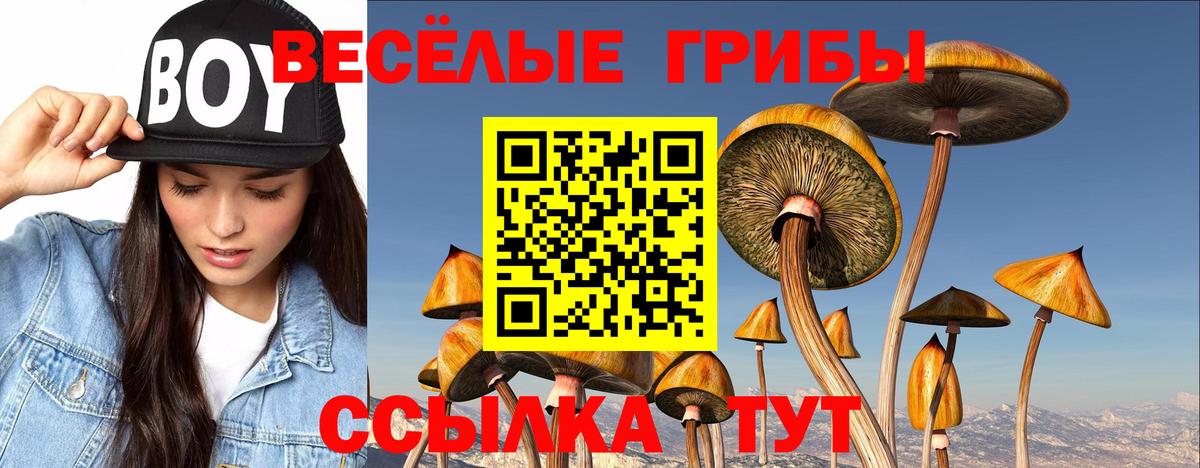 Галлюциногенные грибы ЛСД Тайшет